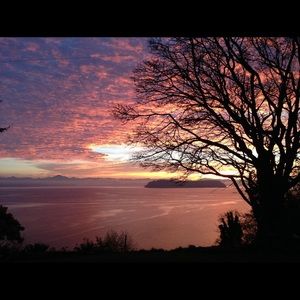 Meet your Posher, Marcella